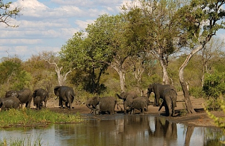 14 Dagen van Kaapstad naar Johannesburg, Busrondreis