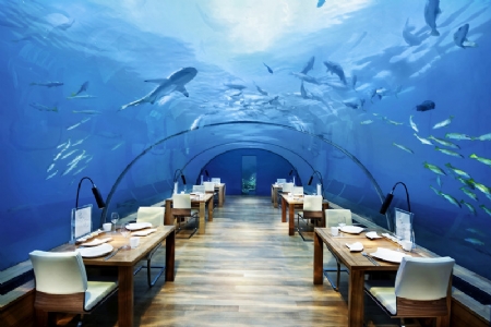 Conrad Maldives Rangali Island ******