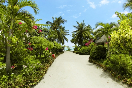 Anantara Dhigu & Veli Maldives *****