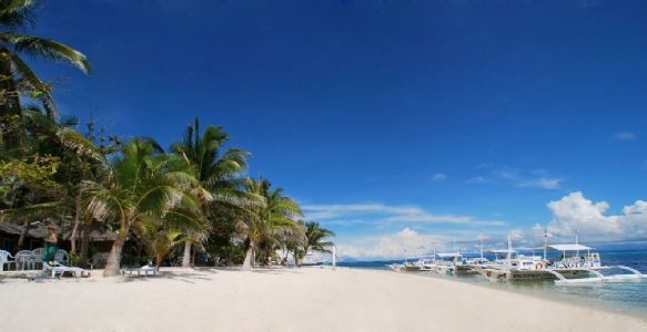 Malapascua Exotic Island Dive & Beach Resort ***