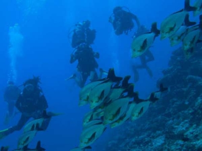 Banyan Tree Maldives Vabbinfaru ******+