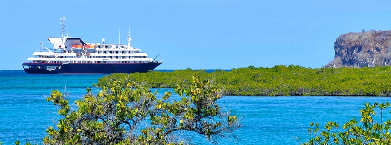 Silver Galapagos