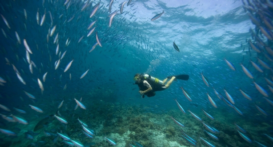 Dusit Thani Maldives *****+