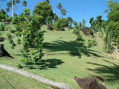 Lumbalumba Diving