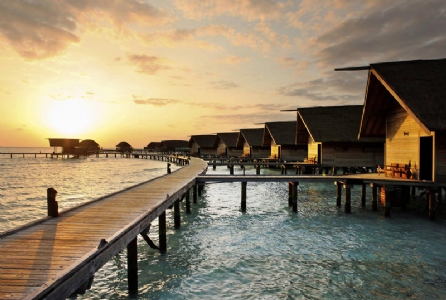 Cocoa Island Resort & Makanufushi *****