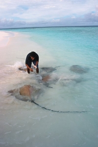 Banyan Tree Maldives Vabbinfaru ******+