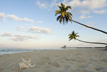 Wakatobi Dive Resort ****