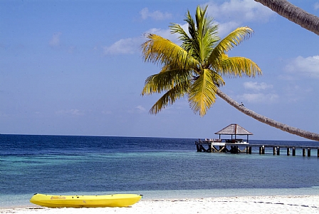 Wakatobi Dive Resort ****